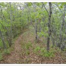 민재여울목산장 이미지