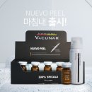 보필동래