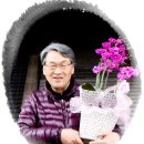 꽃을든남자 이미지