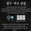 수학아 보드게임하자 | [ 보드게임_ 서기행전] 백제의 유물을 알아볼 수 있는 매력적인 보드게임