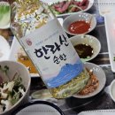 제주복어 이미지