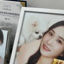 다인스튜디오 - 은평구 은평로4길 10 | 다인스튜디오