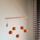 스테이단감 이미지