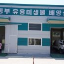 청양축산