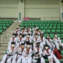 최강국가대표태권도 이미지