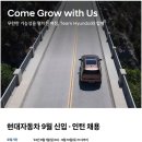 양재점현대자동차 | 현대자동차 양재 본사 사무직 최종 종합면접 불합격 후기, 최탈의 아픔...