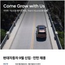 진천종합자동차(주) | 현대자동차 양재 본사 사무직 최종 종합면접 불합격 후기, 최탈의 아픔...