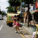 농산물직판장 - 서초구 방배로 195 | 농산물직판장