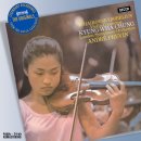Violin Concerto in D major op.35 (Tchaikovsky) 이미지