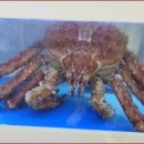 대포항 제1주차장 이미지