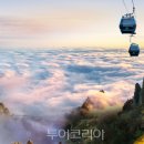 (주)연안항공여행사 이미지