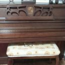 새들피아노 이미지