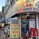 애양종로약국 | [종로5가] 제주도에서 항공 특송으로 올라오는 활고등어회 전문점, 제주바다 서울본점