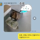 품마을남북결혼 | 9월 울산 북구 당사현대차 오션캠프 캠핑장 8번 후기(feat.캠플 모어뷰2 원터치 텐트)