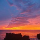 티지코리아 이미지