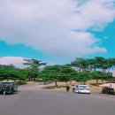 동항소류지 이미지