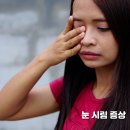 시림 이미지
