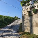 세븐일레븐 동해단봉점 이미지