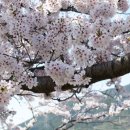 노량 해안도로길 이미지