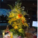 결혼정보회사 메이 이미지