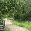 반곡저수지 | 현지인이 추천한 진짜 힐링 여행지, 경산 반곡지 다녀온 후기