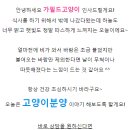 엣지있개 이미지