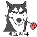 써티세븐 이미지