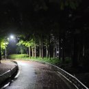 [일산호수공원 야경] 늦은 저녁 산책하기