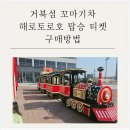 거북섬 웨이브파크 꼬마기차 해로토로호 탑승권 표 구매 방법