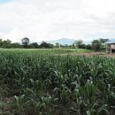 성보물산(주) 이미지