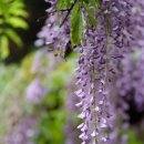 삼풍가든 이미지