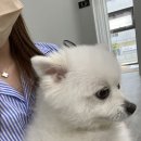 아오유네일
