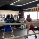 팀와이에프 이미지