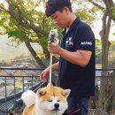 아키다