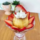 푸딩포토 | [천안아산 카페] 천안 푸딩전문점 카페오하하 내돈내산 솔직후기 (가격/위치/주차)