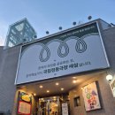 우리춤 | 청춘만발 가버나움 <무해한 순수> 후기 - 잊힌 도깨비를 찾아 오늘의 몸으로 추는 춤