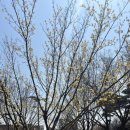 지니스안경 서산예천사거리점 이미지