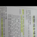 핑크빛하루