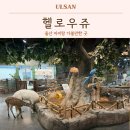 중울산농협하나로마트송정점 | 울산 아이와 가볼만한곳 헬로우쥬 키즈카페보다 어른도 즐기는 실내 동물원