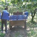 일죽면사무소 이미지