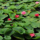 의왕초등학교 이미지