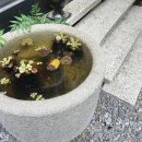 디하우스 이미지