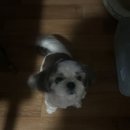 BHC치킨 모종점 이미지