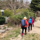 선도전설