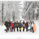 성철목장 이미지