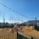 (주)펫키즈 이미지