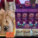 초성종합건설(주) 이미지