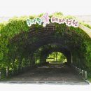 밀양댐생태공원 이미지