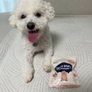 라파동물병원 이미지