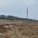 달나무농장 이미지